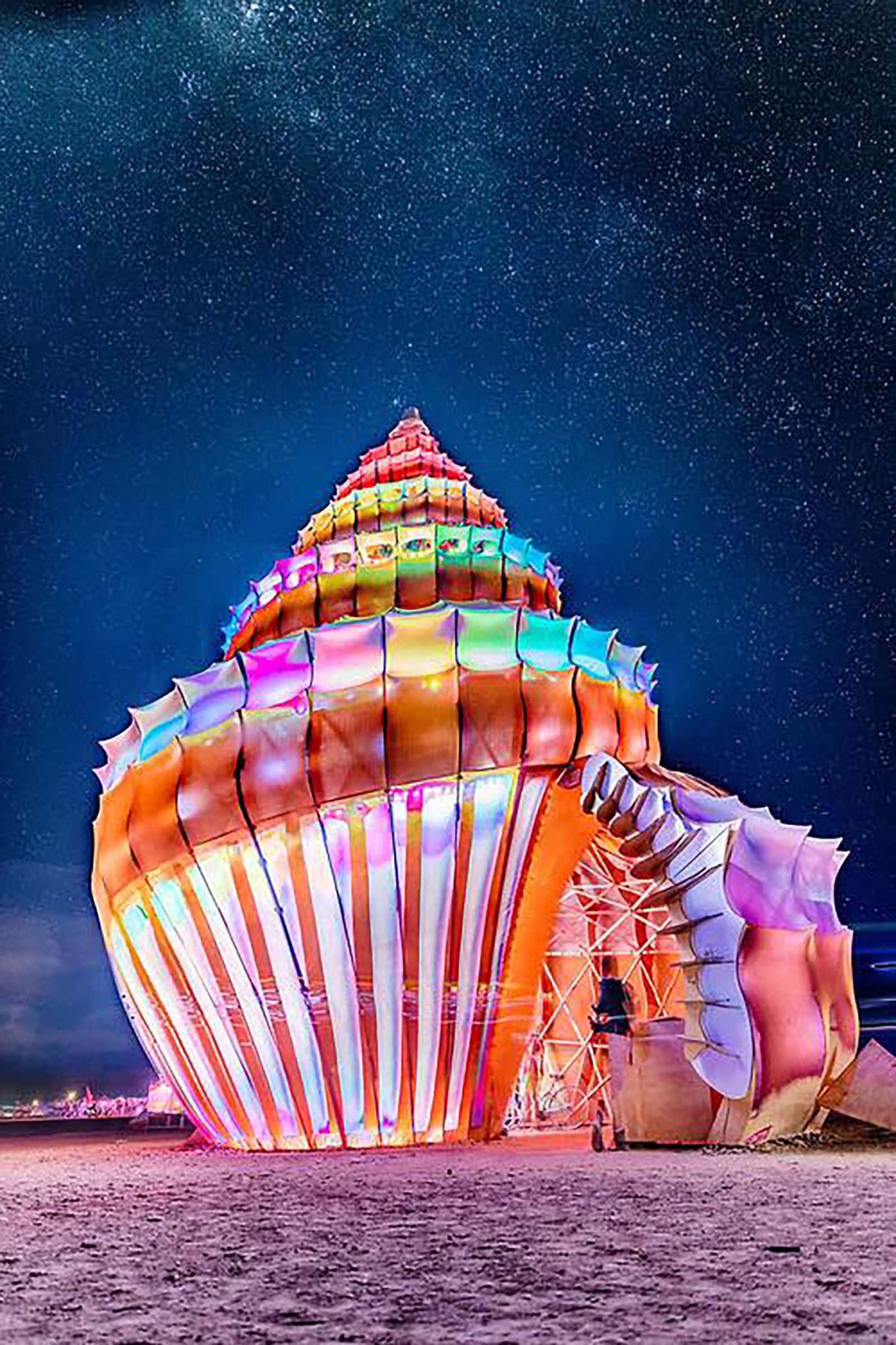 Africa Burn 2016 - The Shell - South Africa